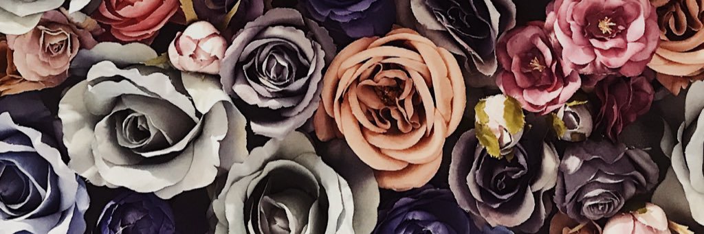 sheklist's profile banner image