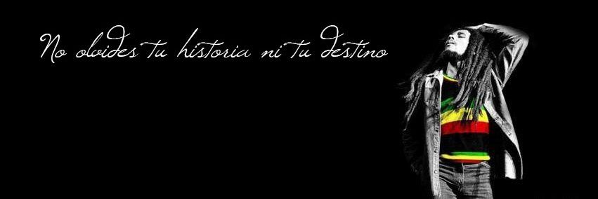 antodona4's profile banner image