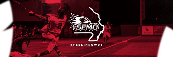 SEMObaseball Profile Banner