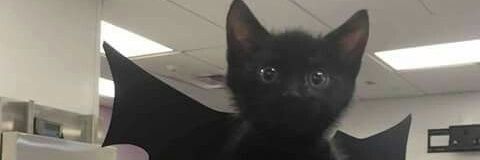 هاشم آقا banner