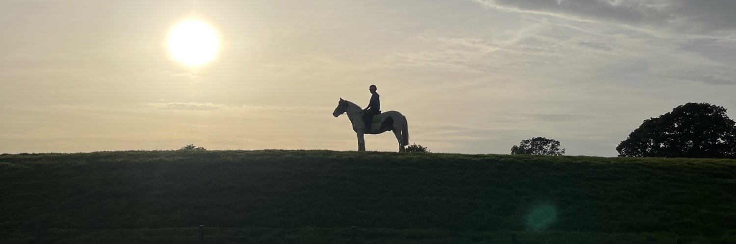 Ffi_Rees98's profile banner image