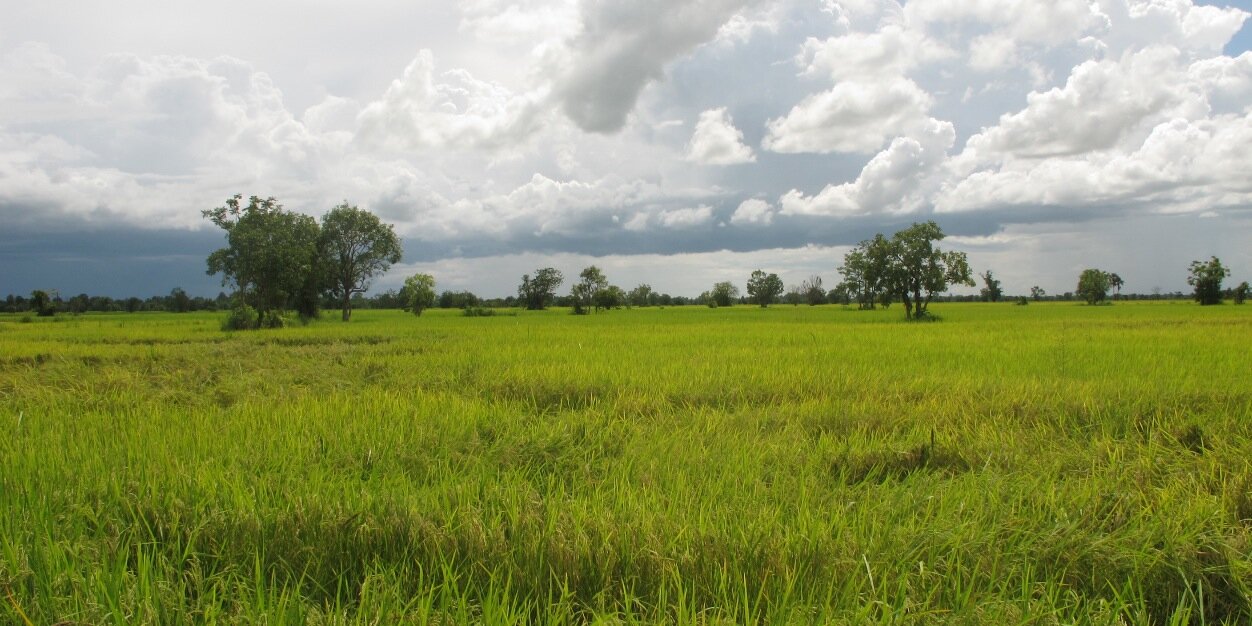 Grégory DECHAMP-G. banner