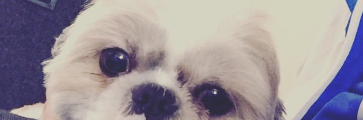 brian_chevez's profile banner image