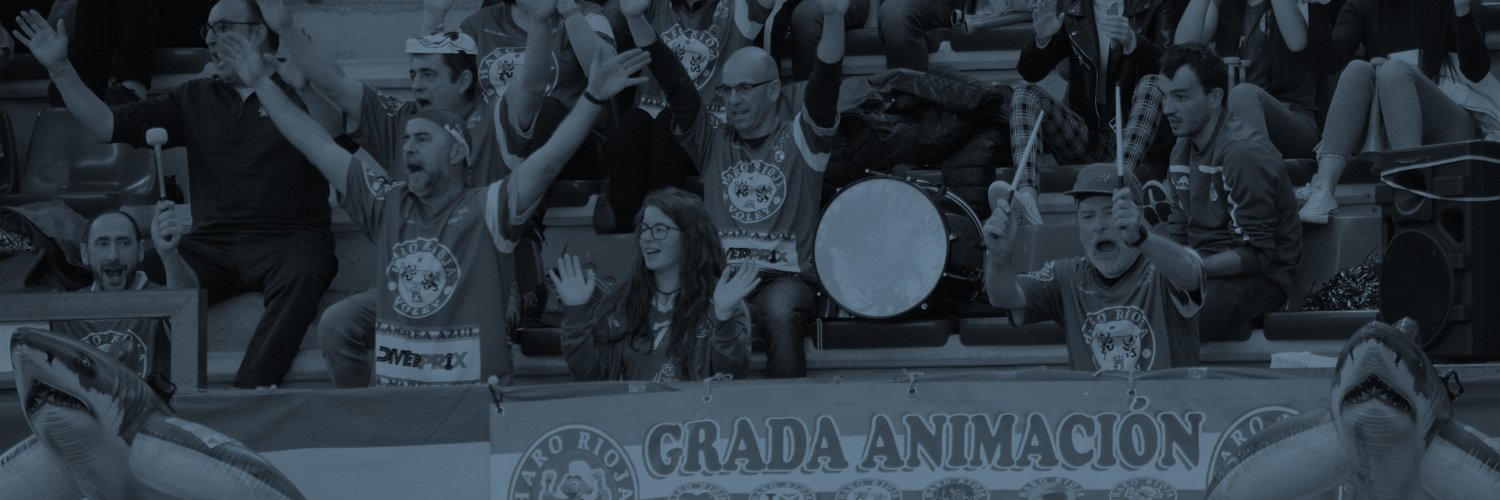 Haro Rioja Voley banner