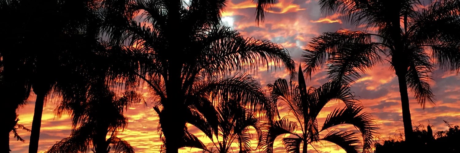 alvaroos_'s profile banner image