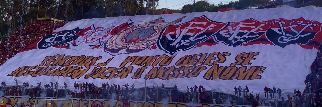 teresinhapop's profile banner image