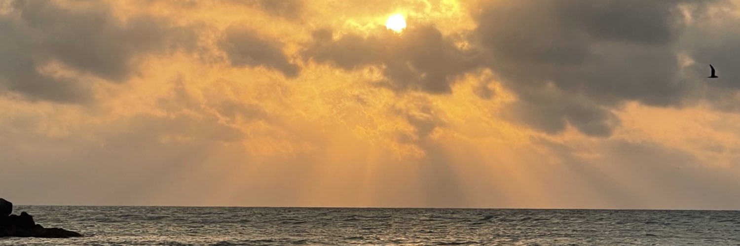 soylaloroca's profile banner image