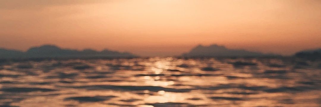 JulietaFajardo's profile banner image