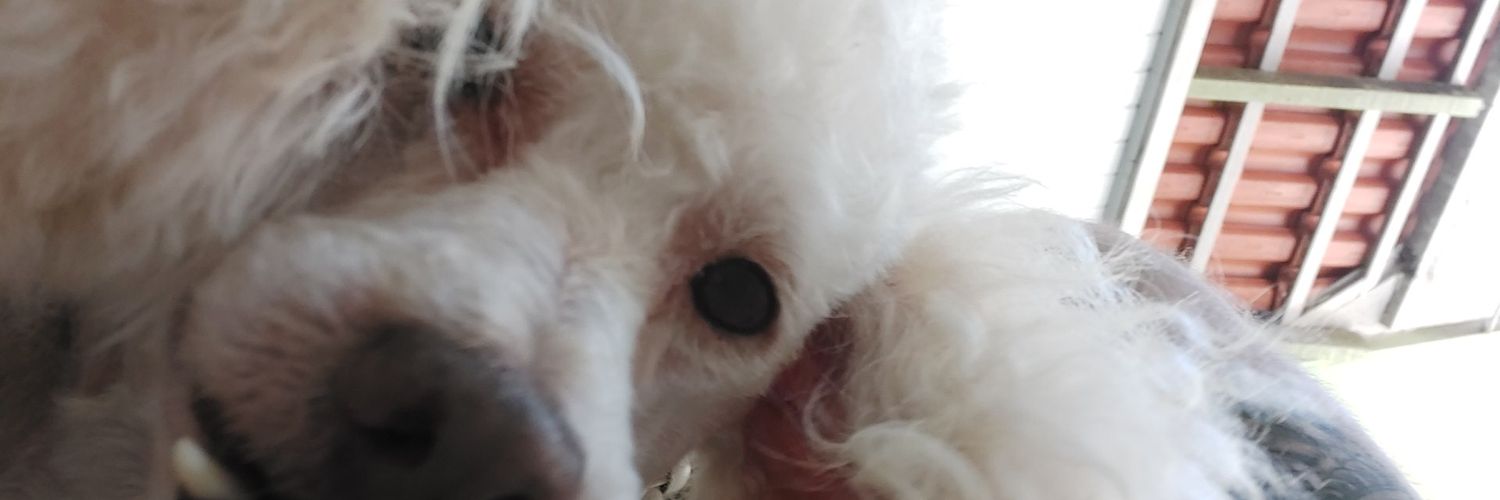 Matheus_Jax's profile banner image