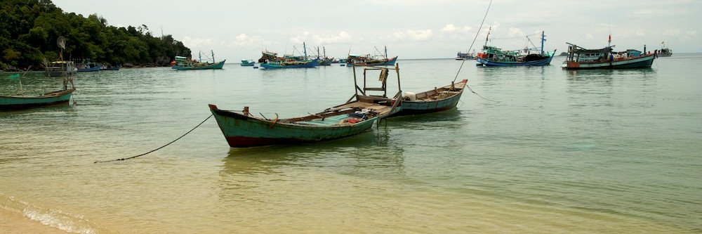 Elizabeth Selig banner