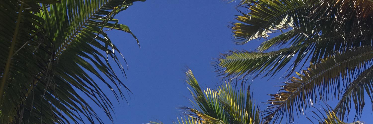taybbaby__'s profile banner image