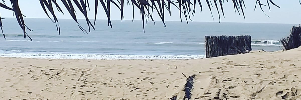 verober_'s profile banner image