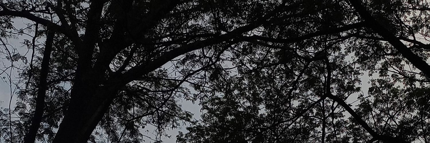 knwndt's profile banner image