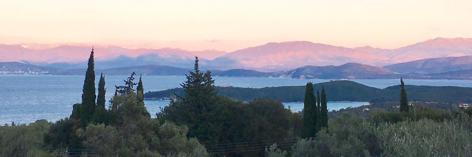 Claire Febrey (she/her) banner