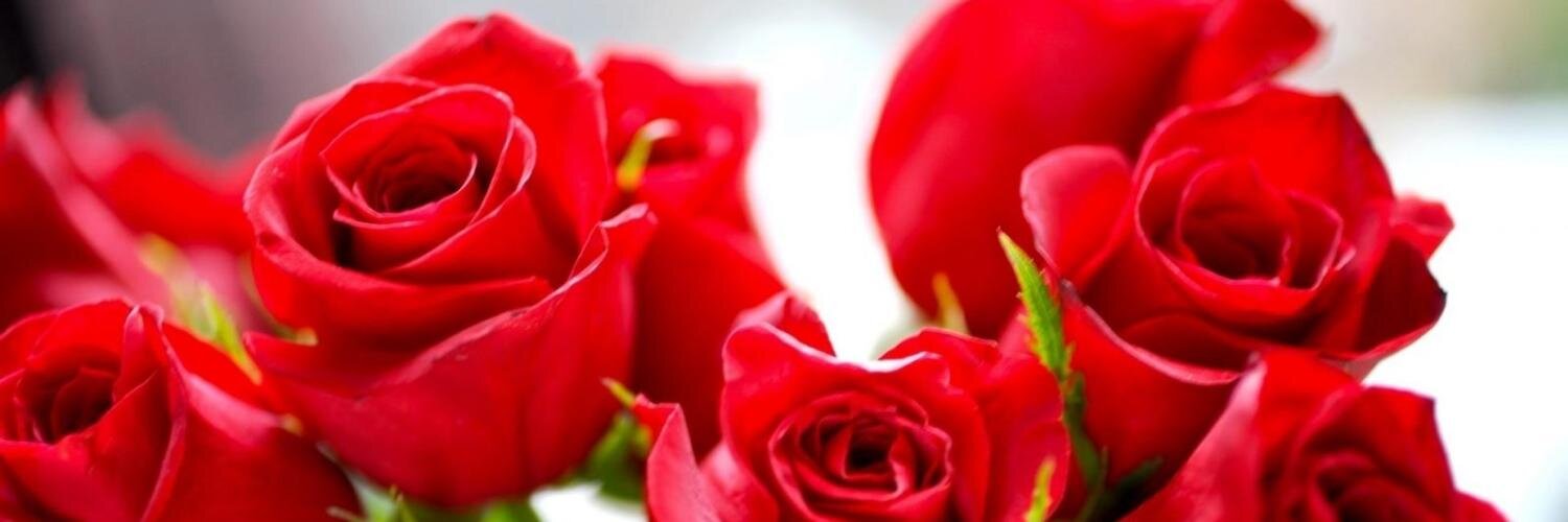 Isabel_sjd's profile banner image
