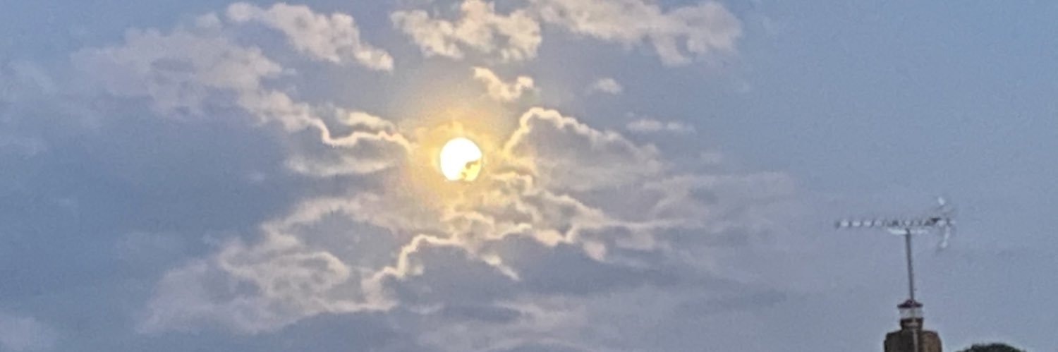 Merel Rehorst-Smith banner