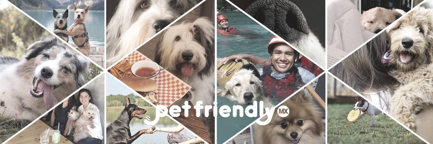 MexPetFriendly's profile banner image