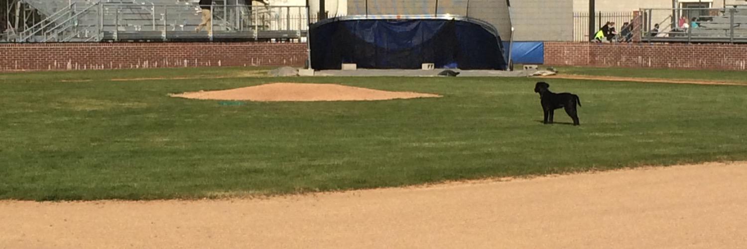 SHSBaseballTeam's profile banner image
