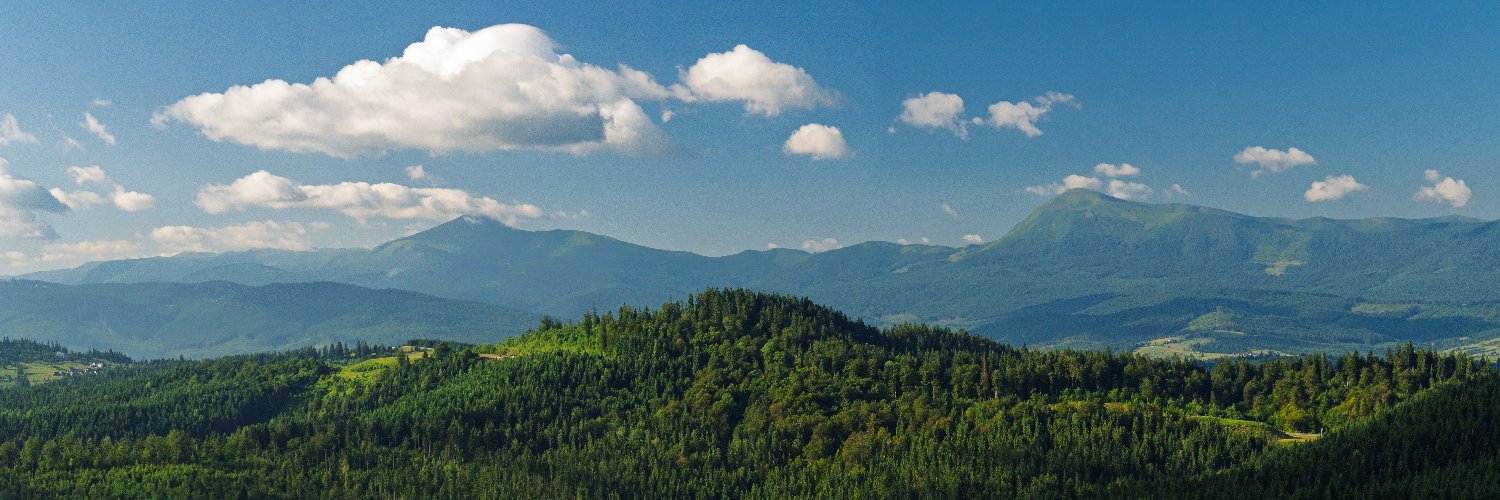 Yevhen Kovalevskyi banner