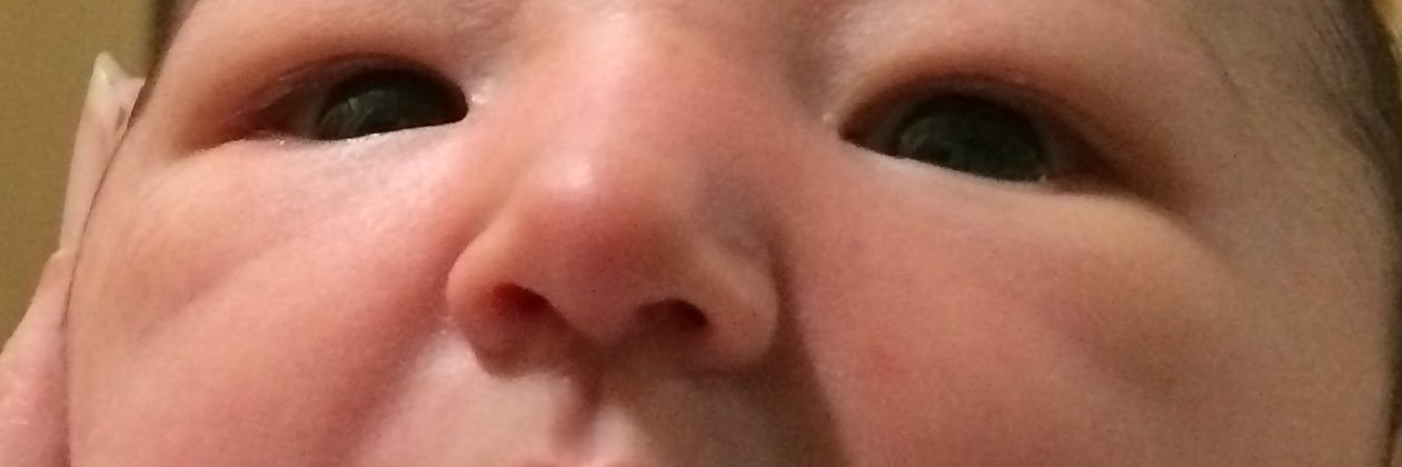 leanneatto's profile banner image