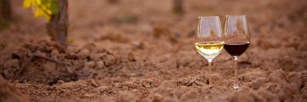 dopenedes Profile Banner