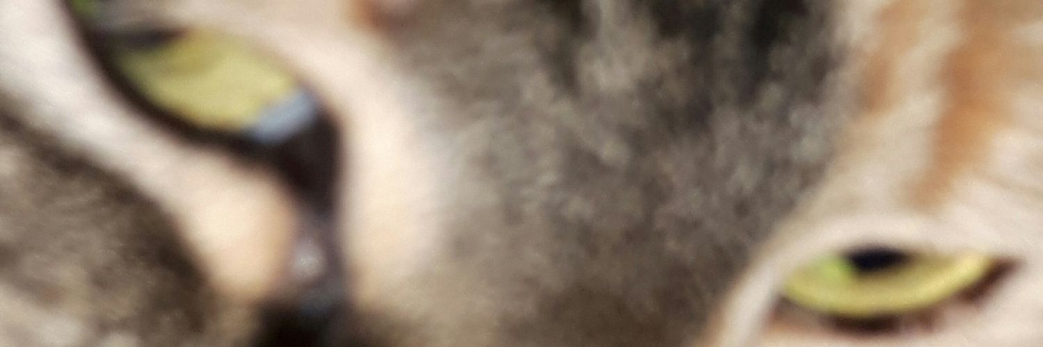 aoifectcp's profile banner image