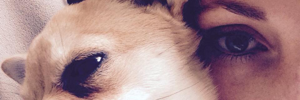 emmak85's profile banner image