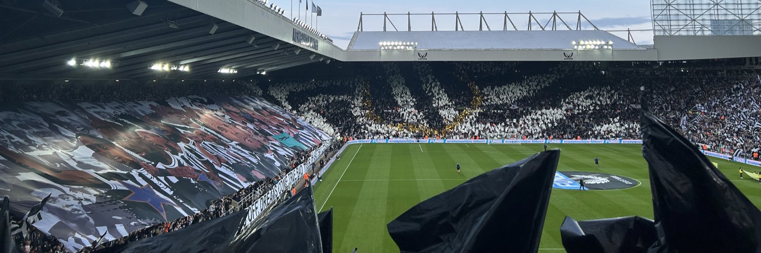 Andy Railston banner