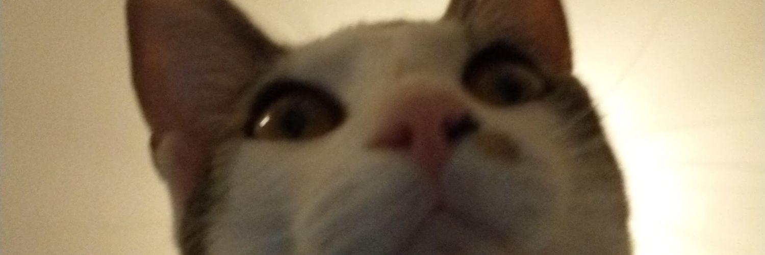 soffffffia5's profile banner image