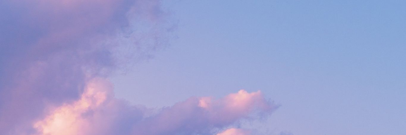 NeonBorgar's profile banner image