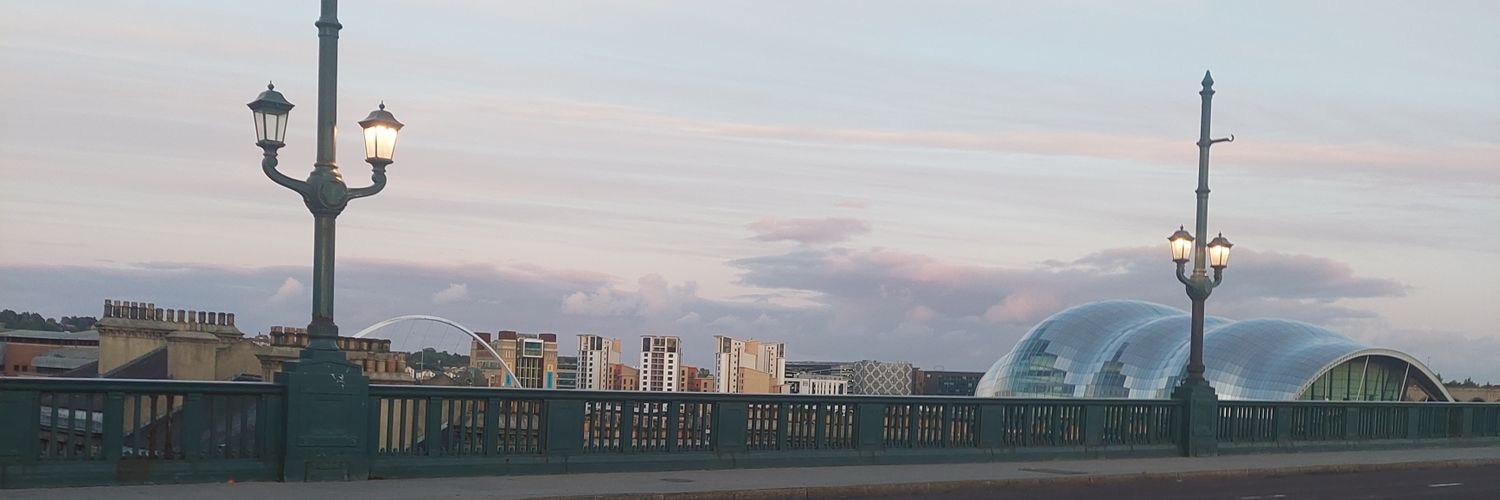 DitDoetFangirl's profile banner image