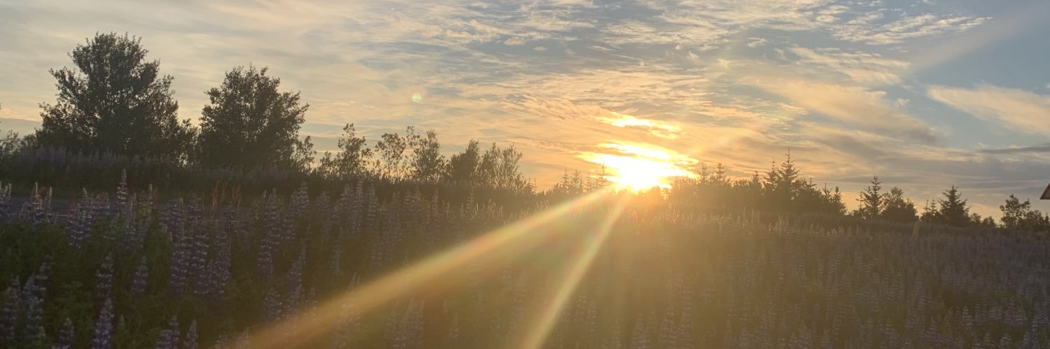 eleasm602's profile banner image