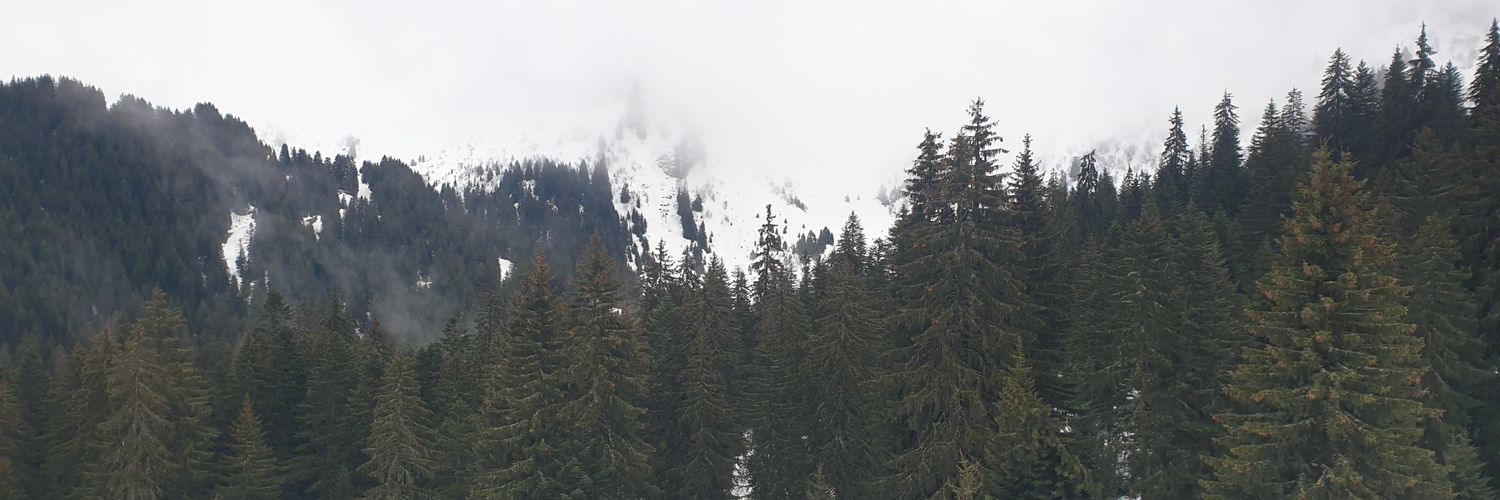 palulette_'s profile banner image