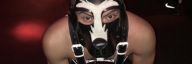 cesarr1292's profile banner image