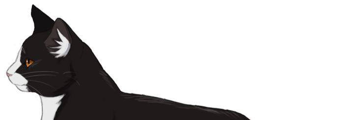 PegasisterMLP's profile banner image