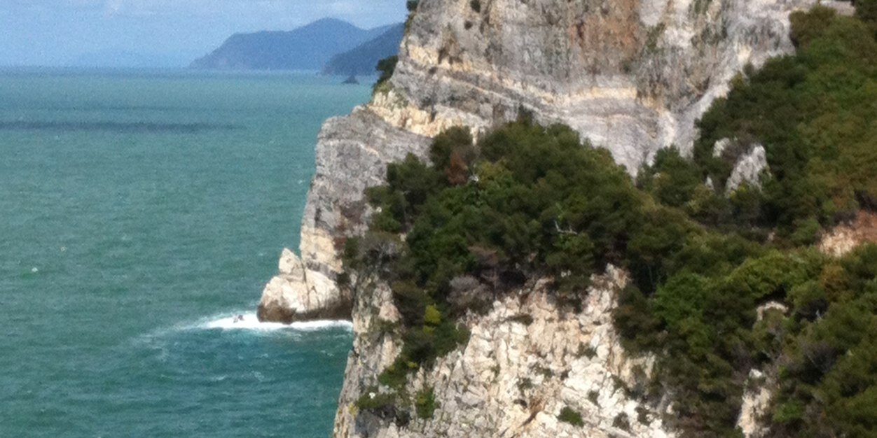 Megan Schimpf banner