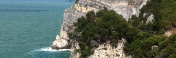 meganschimpf Profile Banner