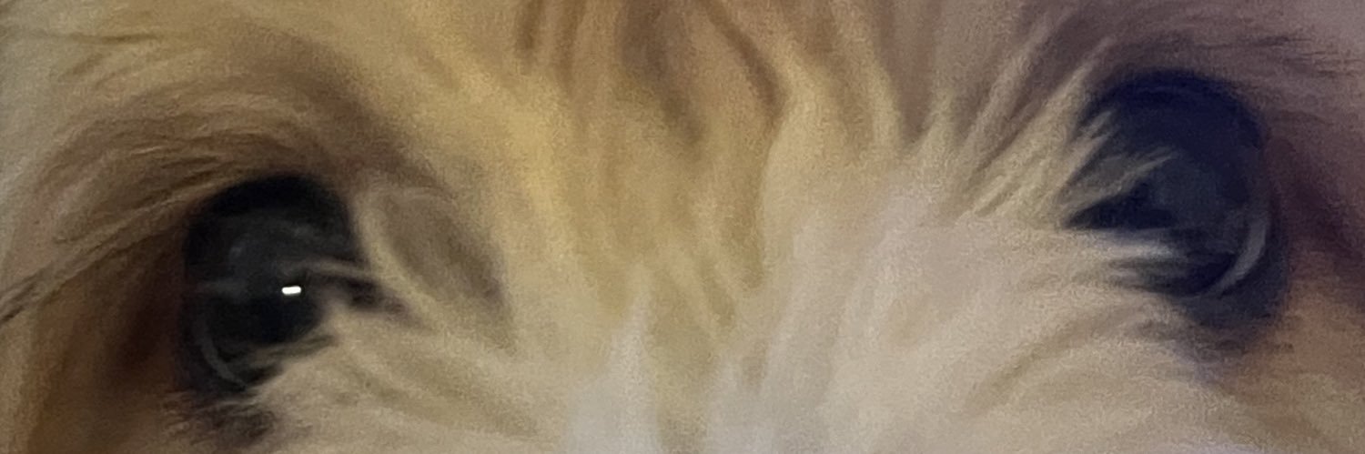 matthewfranx's profile banner image