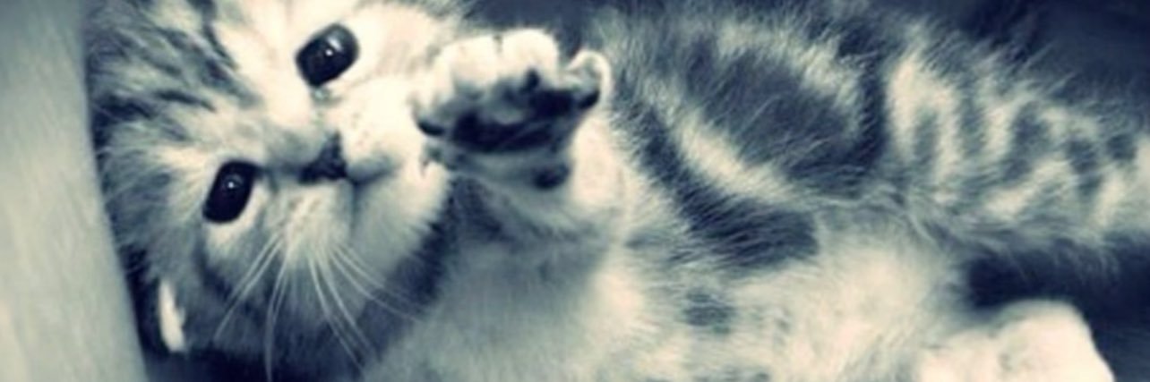 shatteredmess_'s profile banner image