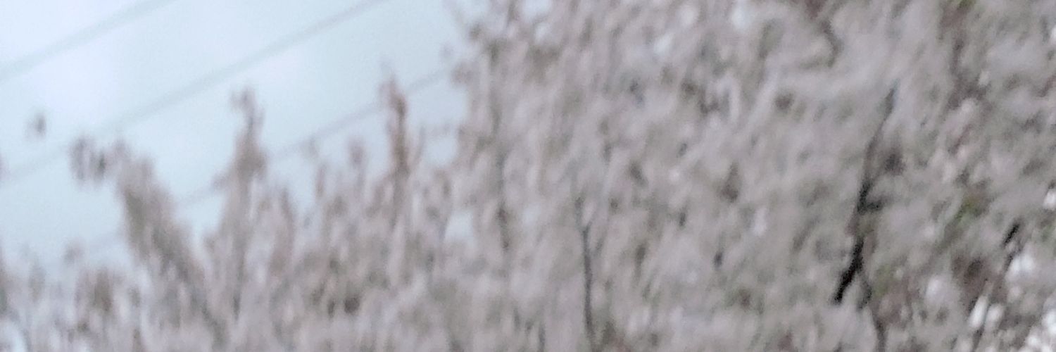 black_p_sct's profile banner image