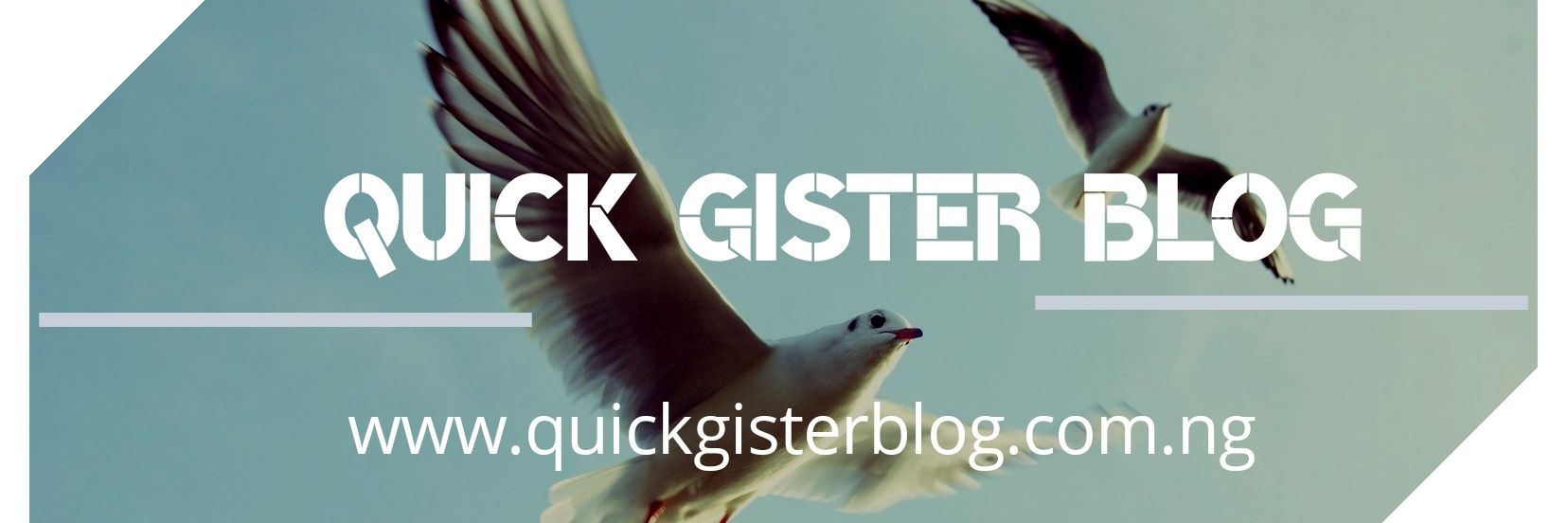 quickgister's profile banner image