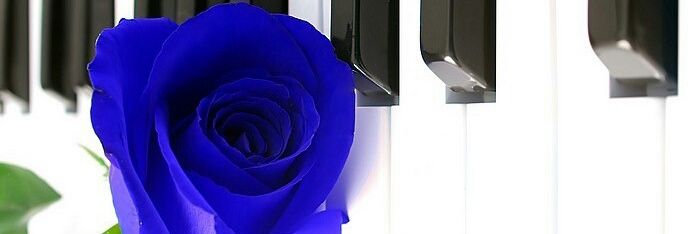 dok_chel's profile banner image