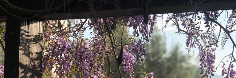 jarroyojim's profile banner image