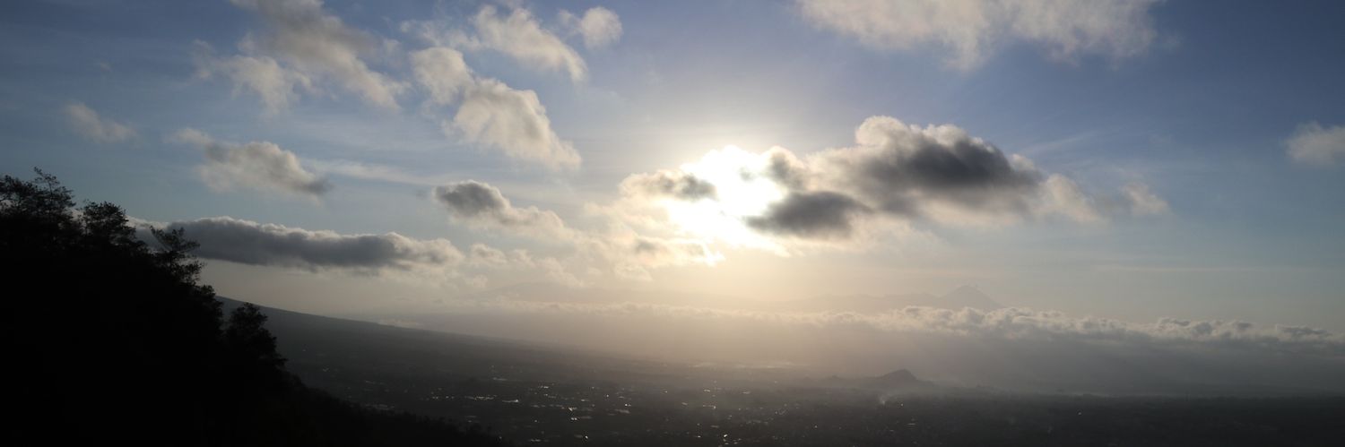 dviidls11's profile banner image