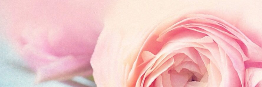 choko33333's profile banner image