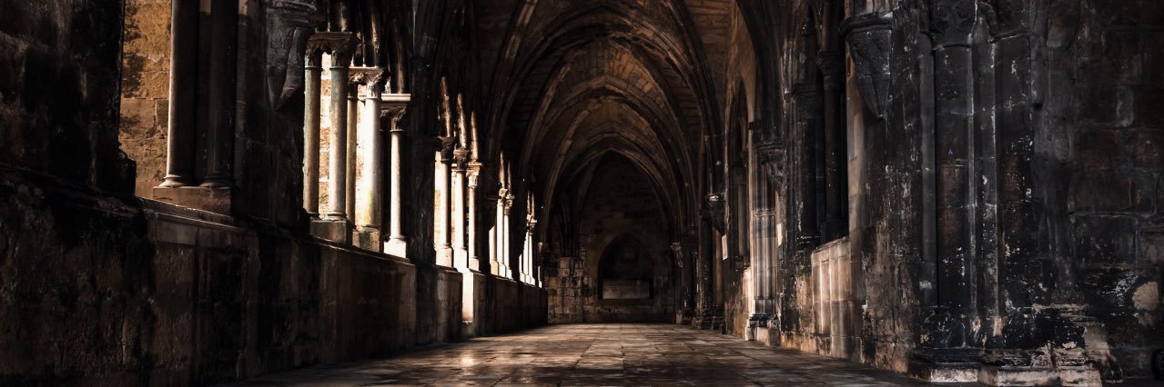 cerxsei's profile banner image