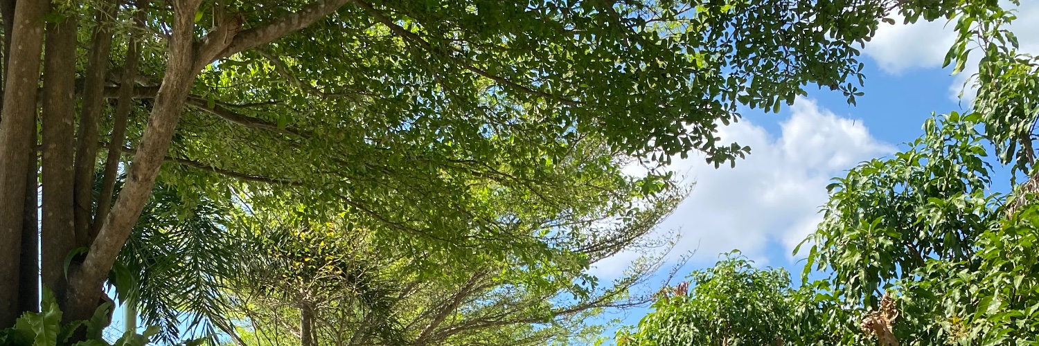 XereenaX's profile banner image