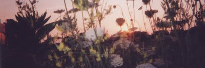 LA_in_VA's profile banner image