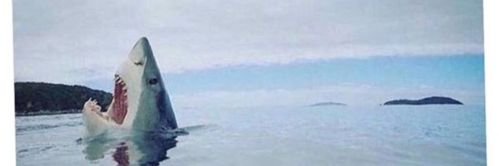 que_bop's profile banner image
