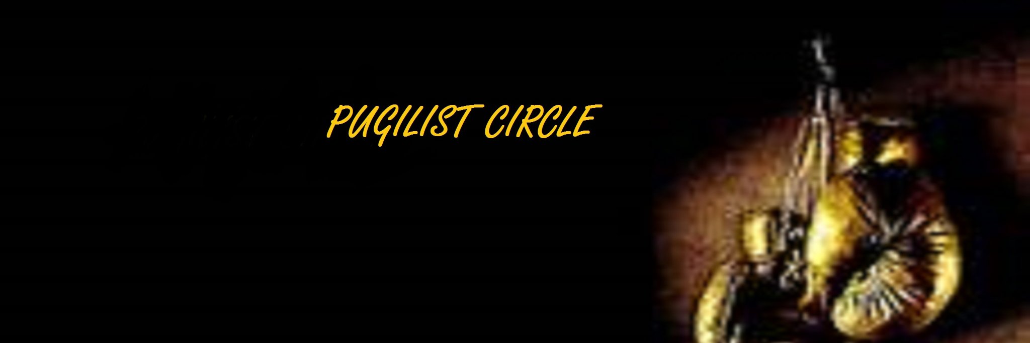 PugilistCircle's profile banner image
